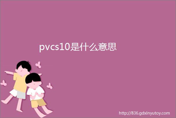 pvcs10是什么意思