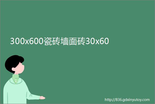 300x600瓷砖墙面砖30x60